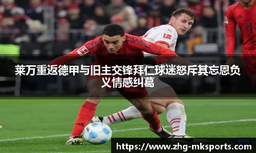 MK体育平台